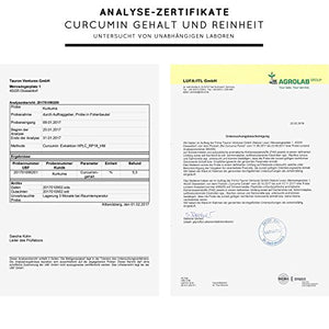 Bio Curcuma - Preis-Leistungssieger 2019* - 240 Kapseln / Laborgeprüft & made in Deutschland